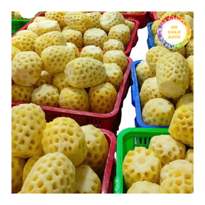 Cubes d'ananas surgelés, ingrédient de fruit tropical jaune sucré pour smoothies, jus, desserts, pâtisseries, transformation, export en vrac - Product Image 5