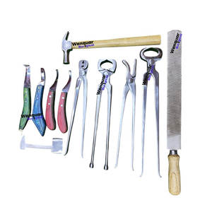 Ensemble d'outils de ferrage personnalisés, 11 pièces essentielles pour l'entretien des sabots de cheval, instruments en acier inoxydable chirurgical - Product Image 1