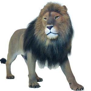 Estatua <span class=keywords><strong>de</strong></span> León <span class=keywords><strong>de</strong></span> Resina <span class=keywords><strong>de</strong></span> Alta Similitud, Personalizada, Decorativa para Interiores, Realista, <span class=keywords><strong>de</strong></span> Tamaño Natural, en Venta - Product Image 3