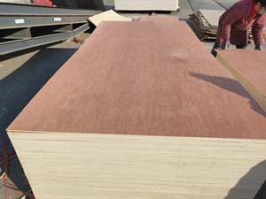 Okoume/ Bintangor Birch Face Plywood <b>Sheets</b> 12mm 15mm 18mm Sanded Surface for Furniture Indoor Use - Product Image 5