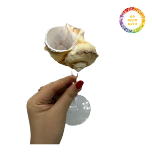 Premium Choice Seashell Glass Elegant Stemware For Luxury Cruise Line Dining And Professional Event Supply - Product Image 4