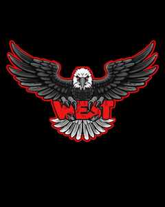 จี้นกฮูกเงินแท้ 925 ทำมือ ประดับเพชรโมอิสซาไนต์ รูปทรง 3 มิติ ดีไซน์แบบ Ice/Dream Letter ชุบแบบ West Plated สไตล์ฮิปฮอป สวยงามน่าหลงใหล - Product Image 4