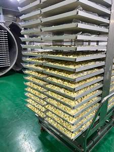 Durian lyophilisé, offre spéciale 2026, haute qualité, meilleur prix, morceaux de durian naturels, collation portable du Vietnam, délicieux - Product Image 6