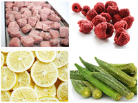 4Kg 6Kg 10Kg 15Kg Fruit Gevriesdroogde Mini Groente Huis Vriesdroger Machine Voedsel Vacuüm Lyofilisator