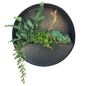 Factory Price Modern Round Galvanized Metal Wall Planter - Half-Circle Hanging Flower <b>Pot</b> for Indoor Outdoor Garden Decor - Product Image 5
