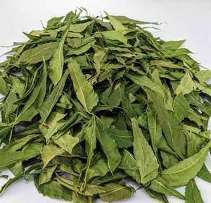 Hojas Secas de Neem Indio Terra Bio (Corte para Té) Más Vendidas de Tamil Nadu - 18 Meses de Vida Útil para Extracto Herbal y Preparación de Té - Product Image 1