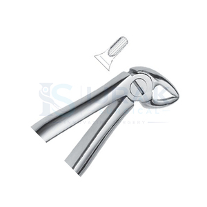 Forceps d'extraction dentaire en acier inoxydable, forceps manuels pour dents, griffes chirurgicales pour usage clinique - Product Image 2