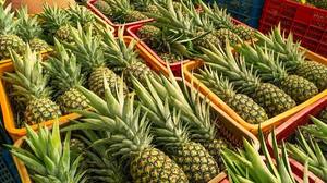 Premium IQF Frozen Pineapple Chunks | Natural <b>Sweet</b> Tropical Fruit for Juice Smoothie and Food Processing - Product Image 5