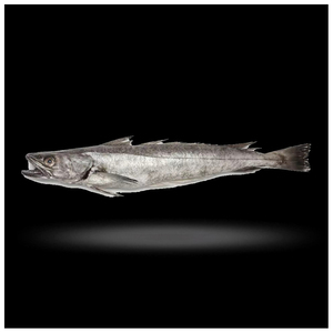 Pescado Entero Congelado Fresco de Caballa, Filete de Caballa Congelado - Product Image 3