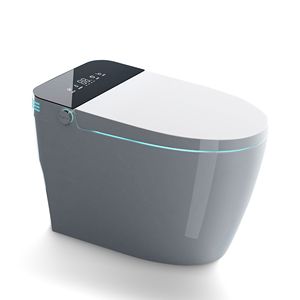 WC intelligente bianco ST-GP-01 1,28gpf Bidet senza serbatoio AUTO aperto e vicino AUTO doppio scarico acqua calda essiccatore Bidet riscaldato sedile portatile - Product Image 1