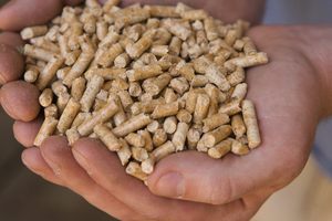 Pellets de Madera de Pino y Abeto Clase A1 al por Mayor, 6mm, Certificación DIN Plus y ENplus A1A2 BSL, en Bolsas de 15kg, Precio al por Mayor - Product Image 2