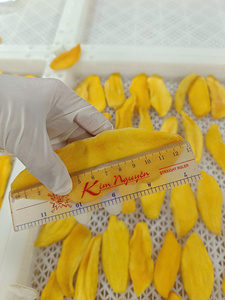 Tranches de mangue séchée d'Asie pour pâtisseries, desserts et garnitures de boissons – Tranches de mangue séchée moelleuses pour aliments à base de fruits - Product Image 5