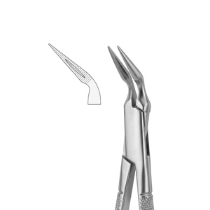 คีมหนีบราก | สเตนเลสสตีลระดับพรีเมียม - Product Image 3