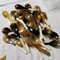 Cuillère artisanale en corne naturelle avec manche en os, cuillère rustique pour la table et la cuisine au meilleur prix