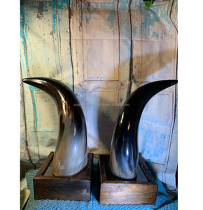 Par de Arte de cuerno de buey pulido abstracto único para exhibición de repisa de escritorio - Product Image 2