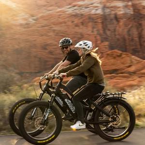 Bicicleta eléctrica de caza de 1000W con tracción en las cuatro ruedas, 48V, neumáticos gruesos, todoterreno, con suspensión completa, para nieve, arena y senderos. - Product Image 2