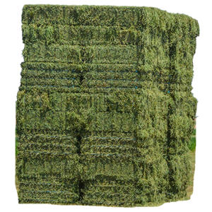 Heno de Alfalfa y Timothy de Grado Alimenticio para Ganado, Caballos, Mascotas y Ovejas, Muestra de 500g - Product Image 6