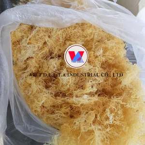 Dried <b>Sea</b> <b>Moss</b> | Vietnam Origin | Premium Quality | Wholesale - Product Image 5