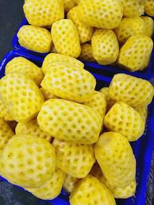 Piña Congelada en Rodajas al Vacío para Exportación a Granel, Seleccionada y Madura con Agua, para Uso en Catering, Vietnam - Product Image 6