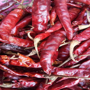 Piments rouges entiers indiens frais, séchés naturellement, pour les fournisseurs de restaurants mondiaux, les cuisines commerciales et la vente en gros d'épices - Product Image 3