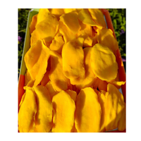 Direct van de fabriek gedroogde mango, bulk OEM private label zachte kauwbare plakjes, export wereldwijde marktvoorraad
