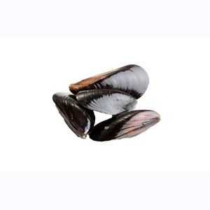Top Quality Frozen Shellfish Mussels for sale - Product Image 4