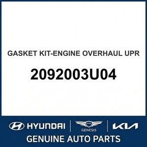 ปะเก็นและซีลใหม่ของ IONIQ รุ่น 2092003U04 - Product Image 1