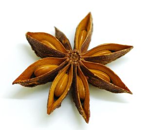 Anis étoilé frais et séché du Vietnam, qualité supérieure, prix usine, vente en gros, meilleur rapport qualité-prix - Product Image 1