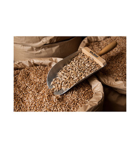 Servicio OEM, Listo para Enviar, Trigo Duro Premium, Venta al por Mayor, Grado Alimenticio, el Más Vendido, Suministro a Granel - Product Image 2