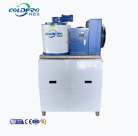 Machine à glace en flocons industrielle 500 kg (0,5 tonne) pour usage commercial et alimentaire