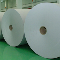 Etiquetas Autoadhesivas de Papel Semibrillante, Duraderas, para Impresión de Información, Compatibles con Impresoras de Códigos de Barras Zebra y Epson, Venta al Por Mayor de Fábrica