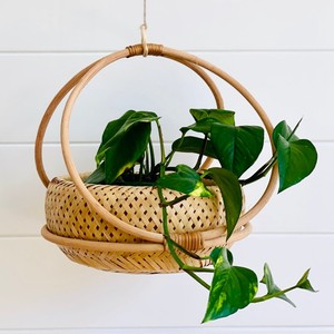 Le producteur fournit des paniers suspendus en rotin faits à la main pour plantes, supports pour plantes d'intérieur et d'extérieur. - Product Image 5