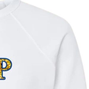 Sweat-shirt personnalisé à sequins brodés effet faux pour femmes, motif lettres grecques Sigma Gamma Rho, col rond, manches longues, pull décontracté pour sororité - Product Image 6