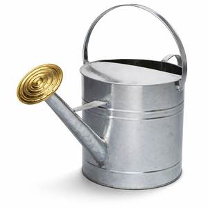 Arrosoir en acier léger pour jardinage intérieur, finition lisse, bec long, versement précis, corps résistant à la corrosion - Product Image 1