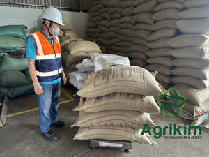 Fournisseur d'usine Prix de gros Poivre blanc assaisonnement WA +84 35 254 2206 - Product Image 3