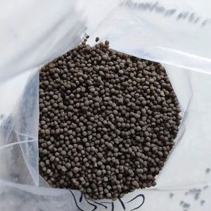 High Quality Diammonium Phosphate (DAP) - Product Image 3