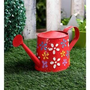 Regadera con mango ergonómico, regadera de calidad superior para decoración del hogar, idea de regalo para amantes del jardín, regadera - Product Image 1