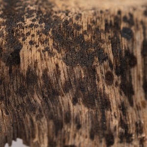 ชิปอูดกลิ่นหอมคงทน - Product Image 1