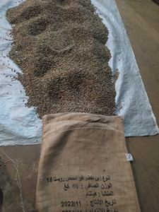 โรบัสต้าอาราบิก้าสกัดเขียวจากเวียดนามคั่วแบบแห้งทั้งรูปแบบสะอาด/เปียกขัดเงาแห้ง - Product Image 3