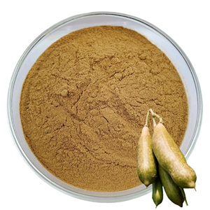 Poudre de fruit de Kigelia de haute qualité, 100% pure et naturelle, poudre de Kigelia Africana pour le raffermissement de la peau et les formulations cosmétiques - Product Image 1