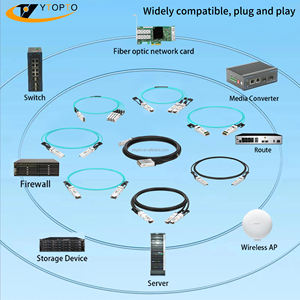 <span class=keywords><strong>สาย</strong></span>เคเบิล DAC YTopto 200G 2x100G ทองแดงแบบต่อตรง QSFP56 หัวต่อ LC อุปกรณ์ไฟเบอร์ออปติก ใช้งานร่วมกับอุปกรณ์ทั่วไปได้ - Product Image 6