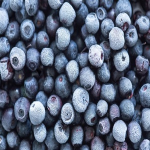 Myrtilles surgelées IQF biologiques de qualité supérieure, emballées sous vide, pour la vente en gros, idéales pour les smoothies, desserts, pâtisseries et la fabrication d'aliments sains - Product Image 3