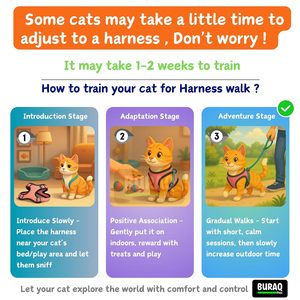 Cat No Pull <b>Harness</b> OEM ODM Custom Logo Adjustable Escape Proof Cat <b>Harness</b> & Leash Set Direct Manufacturer - Product Image 6