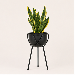 Soporte de Metal Negro Mate Moderno para Plantas con Maceta Redonda, Soporte Elevado Minimalista para Macetas de Interior y Exterior - Product Image 3