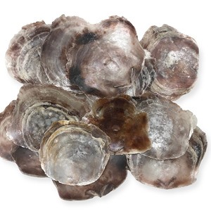 Suministro al por mayor de conchas de capiz para hacer arte y manualidades con conchas, discos planos de concha marina a precio económico. - Product Image 1