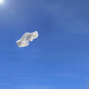 Modelo de marca PERSONALIZADA LIT Hecho en japonés 50cm * 100cm Peso ligero 100% Toalla de cara de algodón Toalla deportiva azul con muestra gratis - Product Image 6