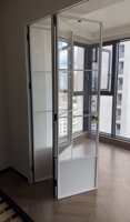 Porte en acier française fine à ouverture manuelle, surface finie, pour villas et appartements de luxe