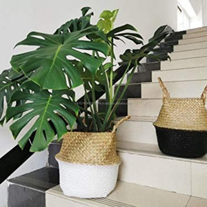 ตะกร้าหน้าท้องธรรมชาติพับเก็บได้สำหรับซักผ้าและจัดพืชหญ้าทะเลทำด้วยมือพร้อมที่จับที่เก็บของในบ้านแบบชนบทเป็นมิตรกับสิ่งแวดล้อม - Product Image 1