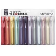 Lot de 12 brosses à dents Discount Median Adult 365DAYS avec poils en nylon moyens et manche en plastique pour le brossage des dents à domicile - Product Image 1