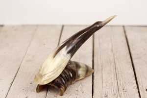 Pieza decorativa de cuerno natural diseñada para exhibición en la sala de estar y el interior del hogar, diseño de pez en cuerno natural de búfalo. - Product Image 6